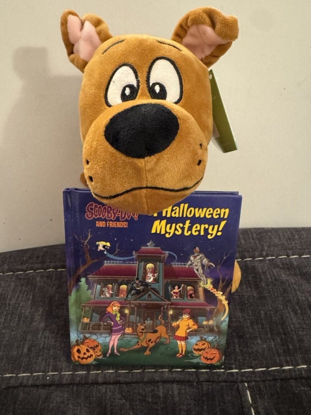 Scooby-Doo! Plush Stuffed Dog Small Halloween Brown Toy with Mystery Book EB10